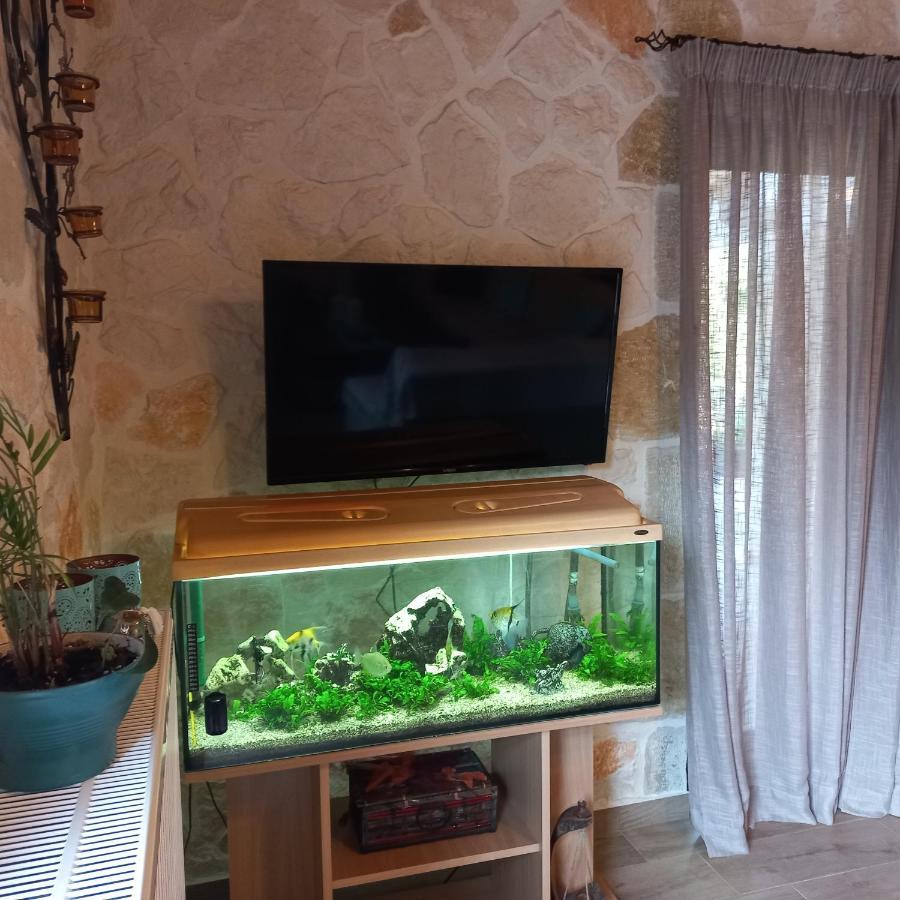 Villa Liberta كيري المظهر الخارجي الصورة